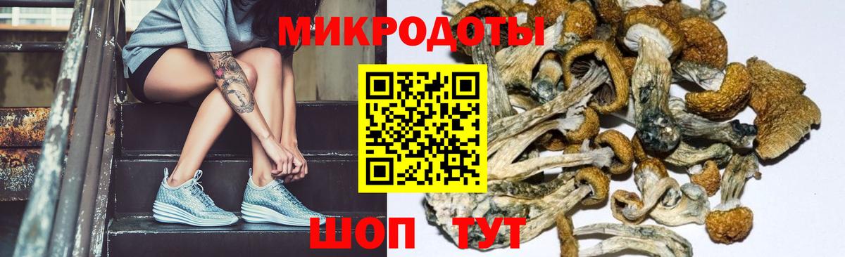 Дзержинский  Галлюциногенные грибы ЛСД  Вход с VPN  Галлюциногенные грибы мицелий 